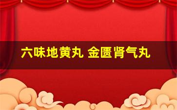 六味地黄丸 金匮肾气丸